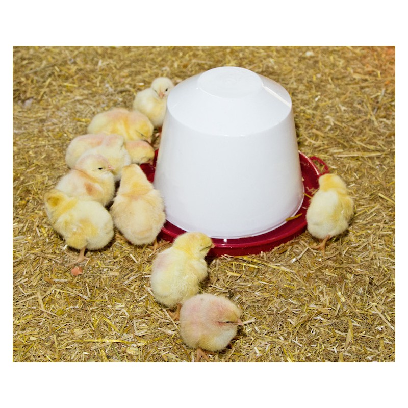 Abreuvoir Plastique Pour Poules 3 Litres - Résistant Et Pratique Pour Basse-Cour