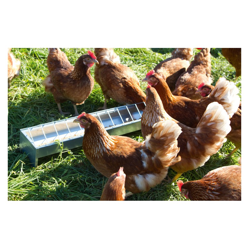 Vis Autoforante Métal 63x63 Fer Pour Tôles De Bardage Par 100 Pièces