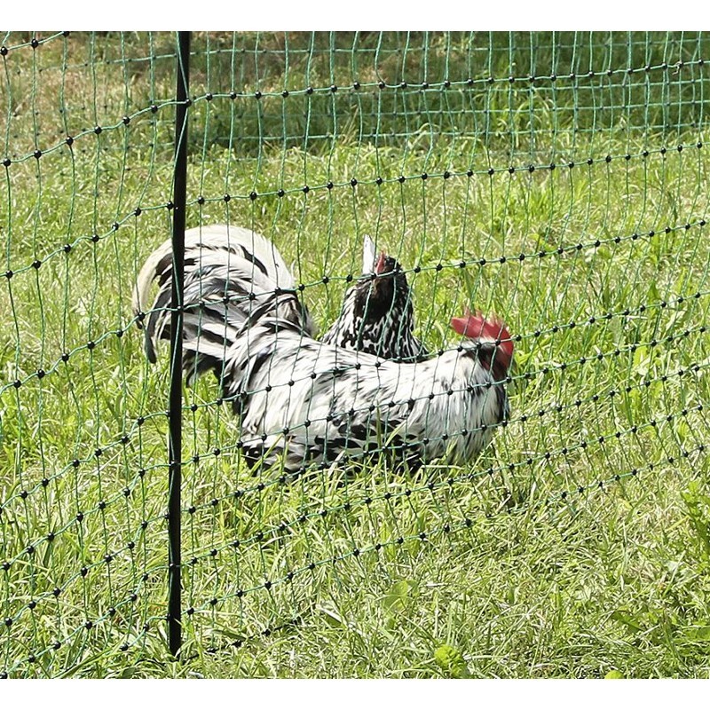 VOSS.farming Filet Volaille Électrique - 50m X 112cm - 16 Piquets Double Pointe - Protection Petit Animaux