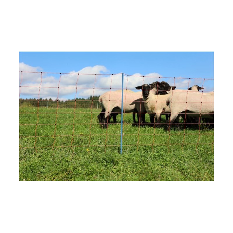 Filet à Volaille Kerbl 50m - Maille Serrée - Pour Poules, Oies - Poteaux Inclus