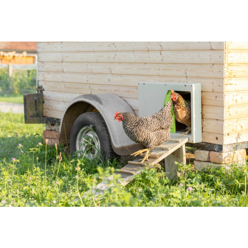 Haofy Porte De Poulailler Électrique Programmable USB - Ouverture Automatique Horizontale Pour Poules Et Canards