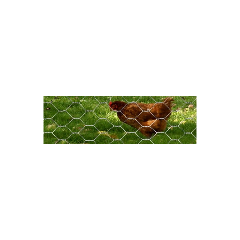 Grillage à Poules Paladian Acier Galvanisé - Maille Hexagonale 13mm - 50cm X 10m - Marque Française