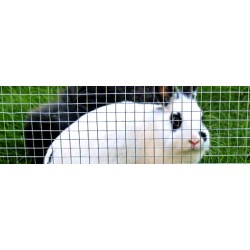 Grillage Volière Acier Galvanisé 5m X 100cm - Maille 19x19mm Clôture Enclos