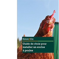 Guide gratuit pour installer un enclos à poules